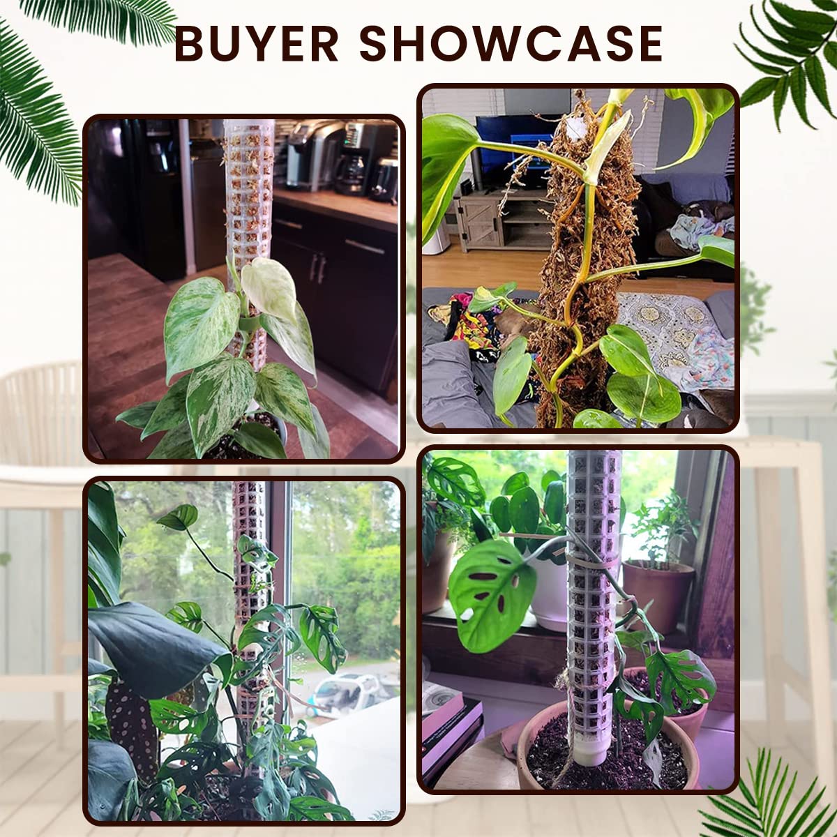 HASTHIP 2pcs 25cm Moss Stick for Plants with 5 Lables and 1 Roll Velcro, Plastic Plant Stakes and Supports for Money Plant, Climbing Indoor Plants HASTHIP 2pcs 25cm Moss Stick for Plants with 5 Lables and 1 Roll Velcro, Plastic Plant Stakes and Supports for Money Plant, Climbing Indoor Plants